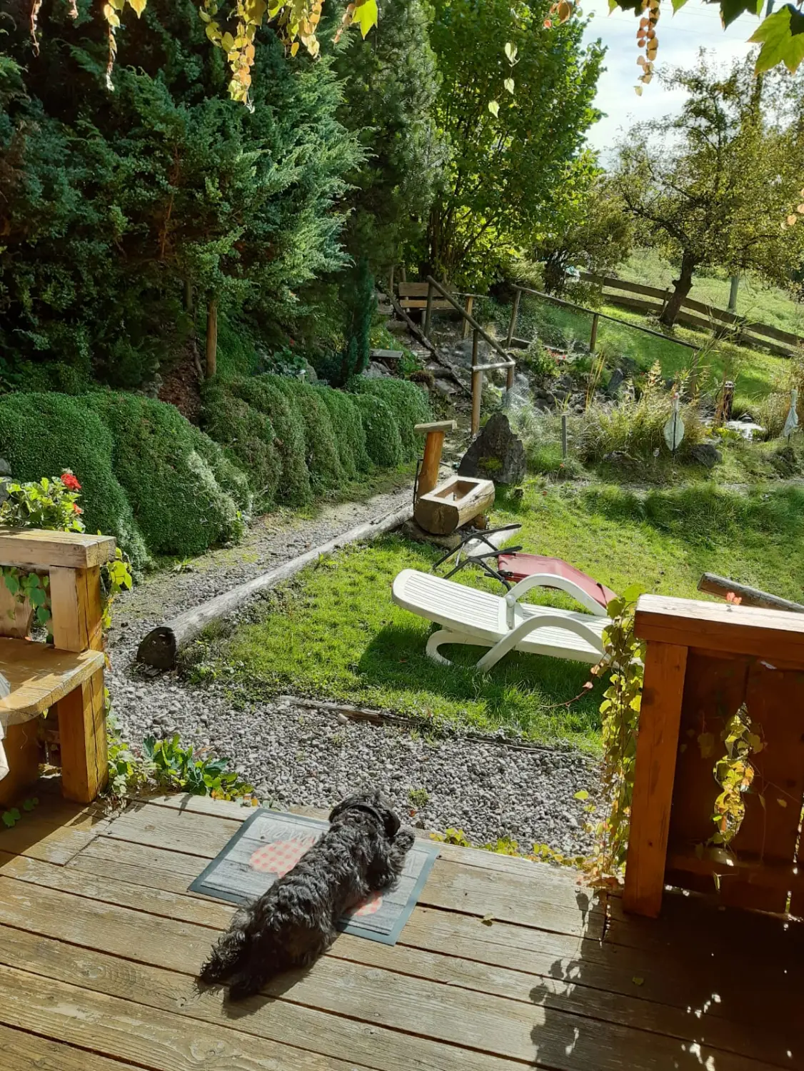 Pferdefeld von Kim Döbbelin 