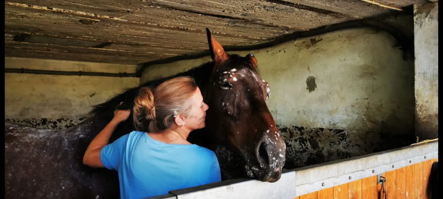 Kim Döbbelin kümmert sich um das Pferd von Kim Döbbelin