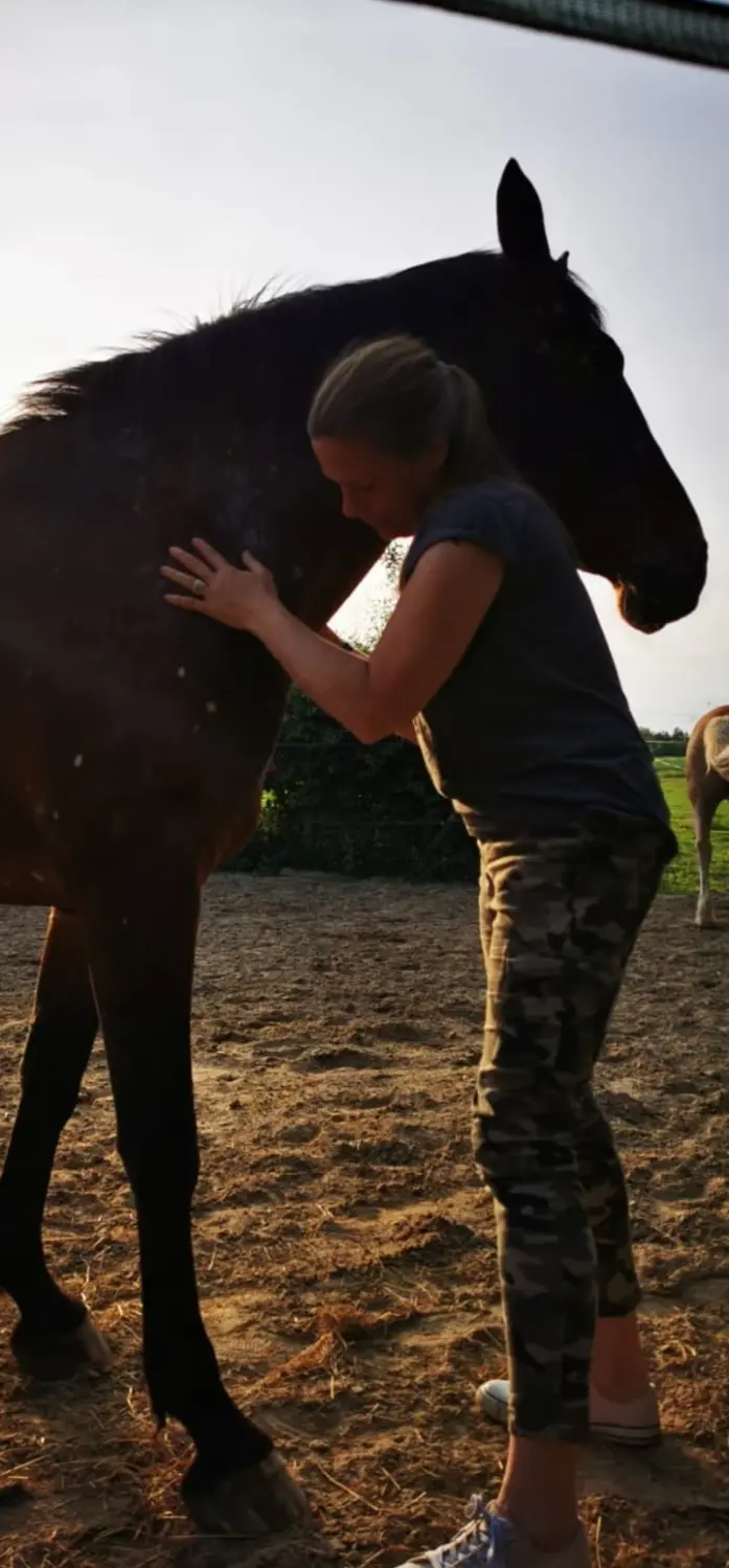 Pferdebabys auf dem Feld von Kim Döbbelin