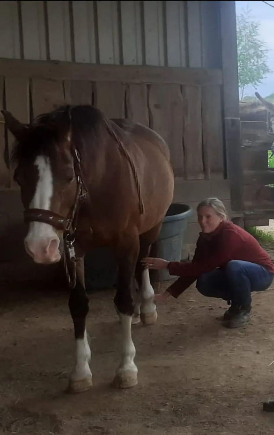Kim Döbbelin kümmert sich um das Pferd von Kim Döbbelin