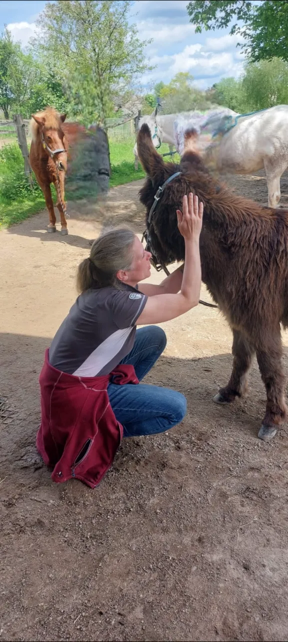 Kim Döbbelin kümmert sich um das Pferd von Kim Döbbelin